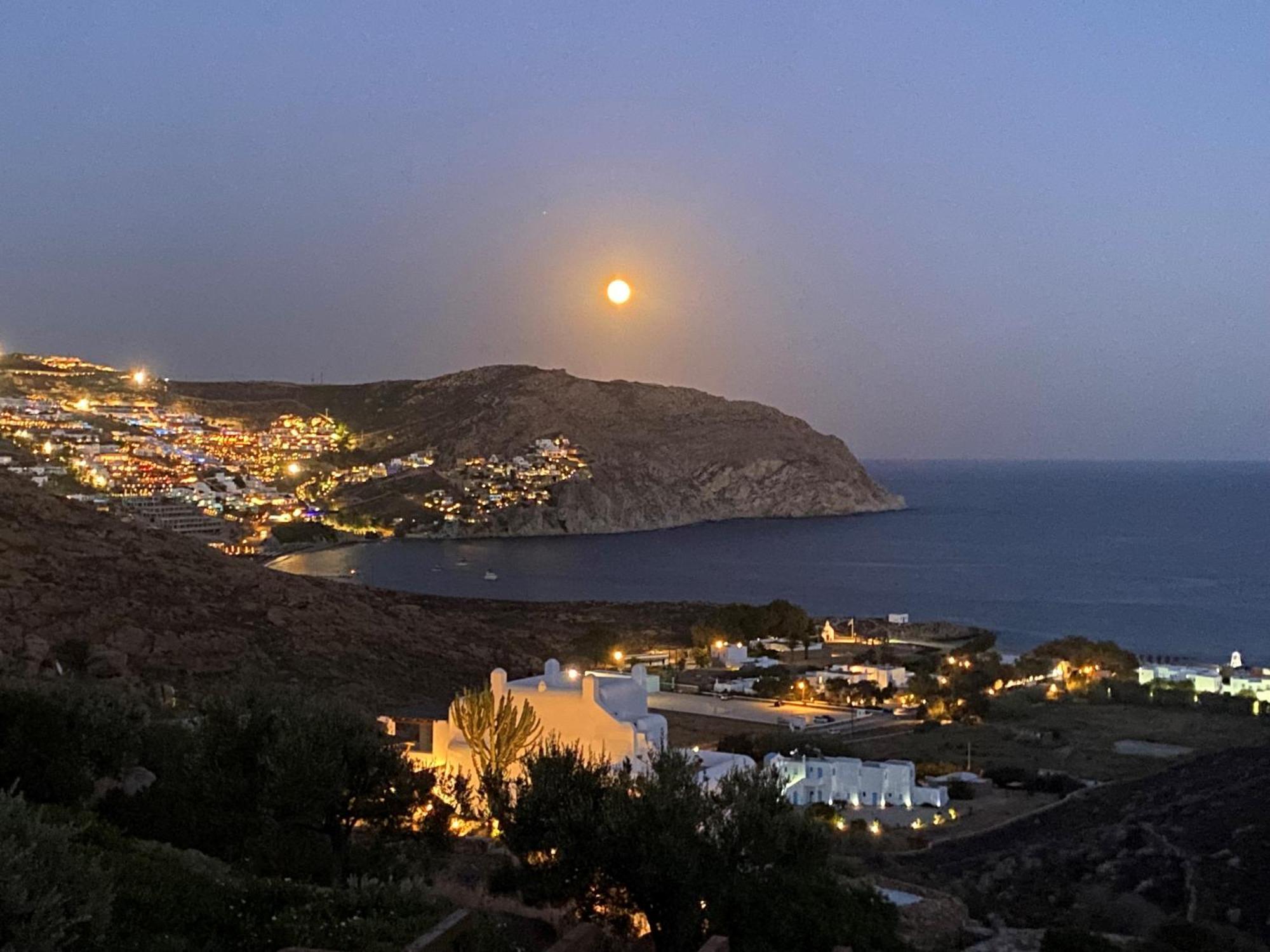 Villa Artisti Mykonos